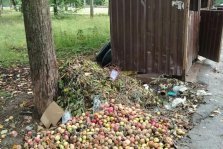 выкса.рф, Садовый мусор у баков: нарушение, которое дорого обойдется